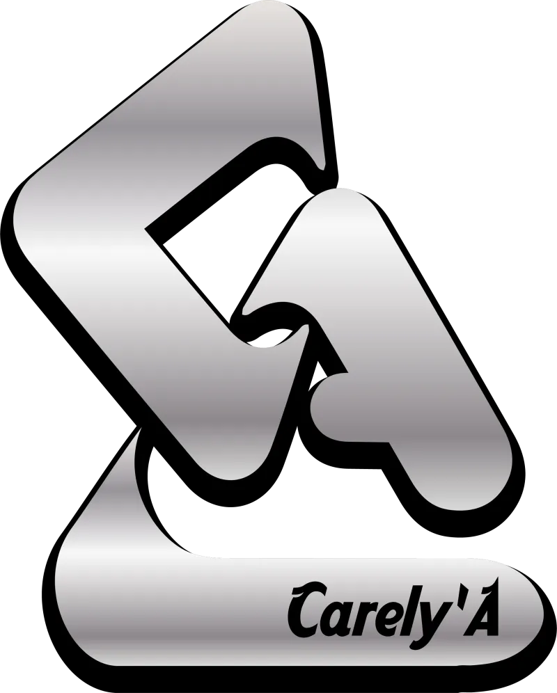 Carely'A Bags